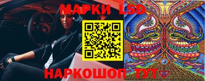 Альфа ПВП Жуковский