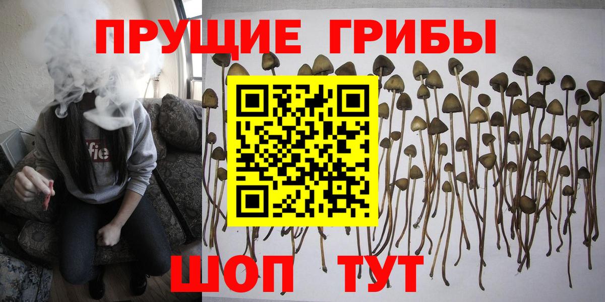 Псилоцибиновые грибы мухоморы Лесной